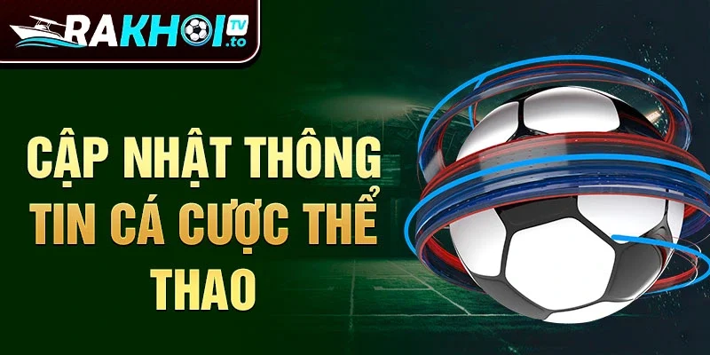 Cập nhật thông tin cá cược thể thao